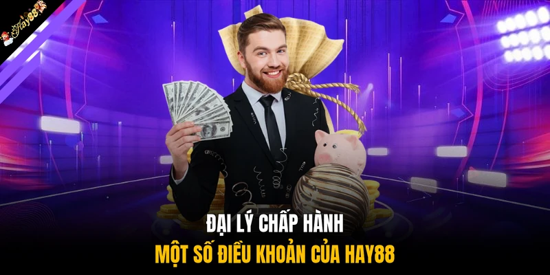 Đại lý chấp hành một số điều khoản của HAY88 