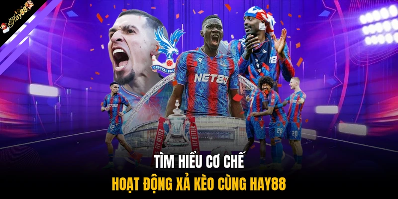 Tìm hiểu cơ chế hoạt động xả kèo cùng HAY88