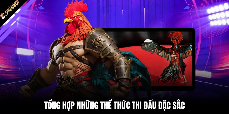 Tổng hợp những thể thức thi đấu đặc sắc